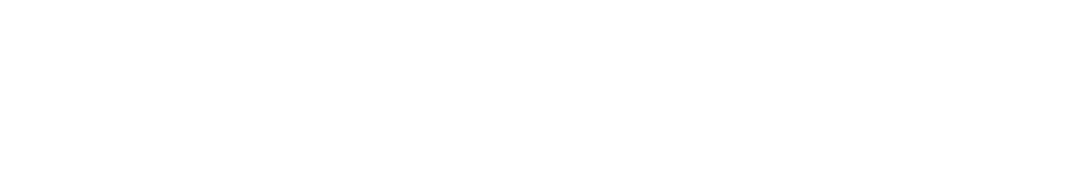 logo-DreamLeague-white-long